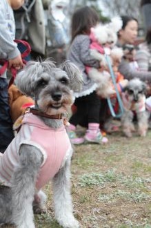 静シュナオフ♪ 静シュナオフ♪