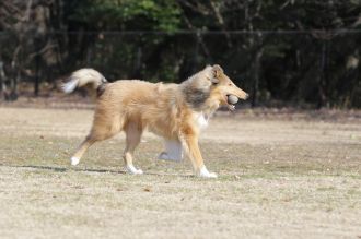 聞いてるよ♪ 聞いてるよ♪