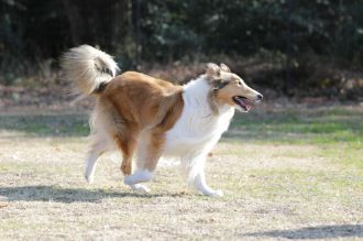 聞いてるよ♪ 聞いてるよ♪