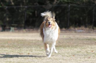 聞いてるよ♪ 聞いてるよ♪