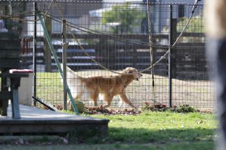 聞いてるよ♪ 聞いてるよ♪