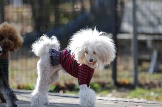 聞いてるよ♪ 聞いてるよ♪