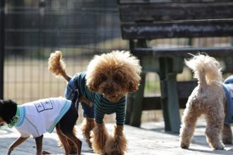 聞いてるよ♪ 聞いてるよ♪