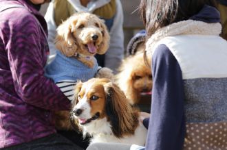 聞いてるよ♪ 聞いてるよ♪