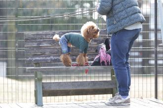 聞いてるよ♪ 聞いてるよ♪
