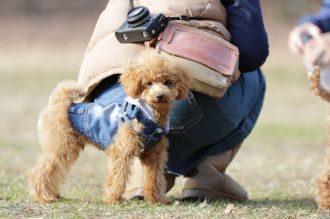 聞いてるよ♪ 聞いてるよ♪