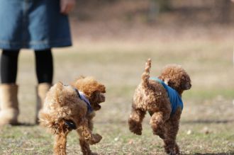 聞いてるよ♪ 聞いてるよ♪