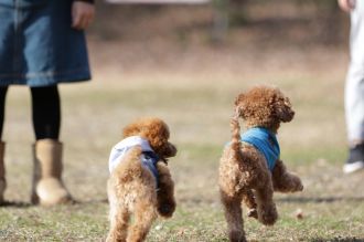 聞いてるよ♪ 聞いてるよ♪