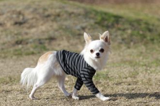 聞いてるよ♪ 聞いてるよ♪