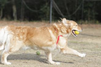 聞いてるよ♪ 聞いてるよ♪