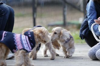 聞いてるよ♪ 聞いてるよ♪