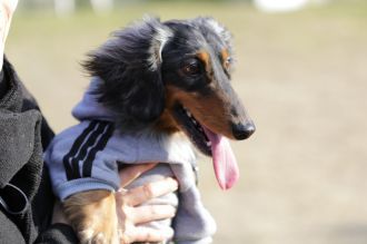 聞いてるよ♪ 聞いてるよ♪