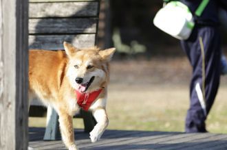 聞いてるよ♪ 聞いてるよ♪