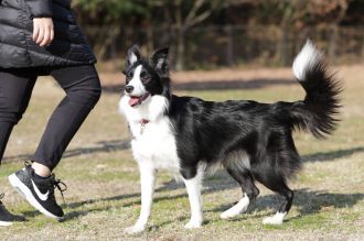 聞いてるよ♪ 聞いてるよ♪