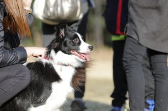 聞いてるよ♪ 聞いてるよ♪