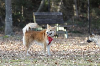 聞いてるよ♪ 聞いてるよ♪