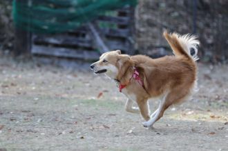 聞いてるよ♪ 聞いてるよ♪
