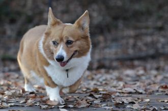聞いてるよ♪ 聞いてるよ♪