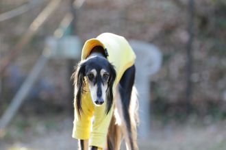 聞いてるよ♪ 聞いてるよ♪