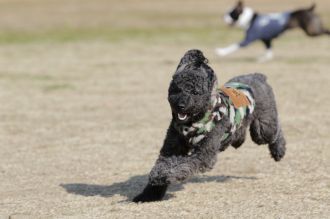 気持ちよさそっ♪ 気持ちよさそっ♪