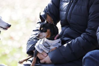 気持ちよさそっ♪ 気持ちよさそっ♪