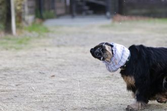 気持ちよさそっ♪ 気持ちよさそっ♪