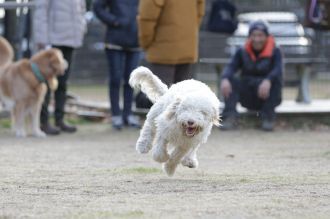 気持ちよさそっ♪ 気持ちよさそっ♪