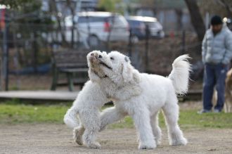 気持ちよさそっ♪ 気持ちよさそっ♪