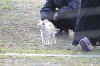 気持ちよさそっ♪ 気持ちよさそっ♪