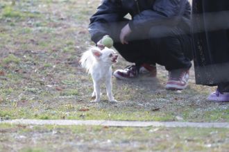 気持ちよさそっ♪ 気持ちよさそっ♪