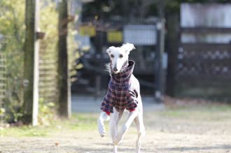 気持ちよさそっ♪ 気持ちよさそっ♪