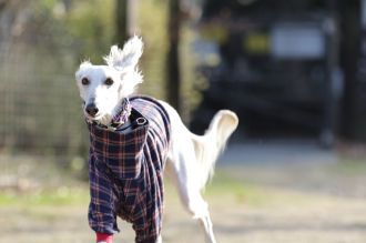 気持ちよさそっ♪ 気持ちよさそっ♪