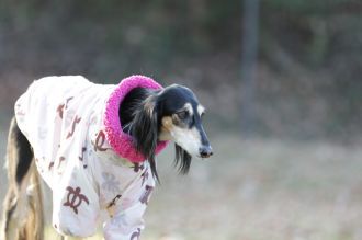 気持ちよさそっ♪ 気持ちよさそっ♪