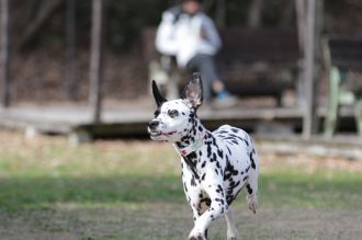 気持ちよさそっ♪ 気持ちよさそっ♪