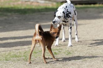 気持ちよさそっ♪ 気持ちよさそっ♪