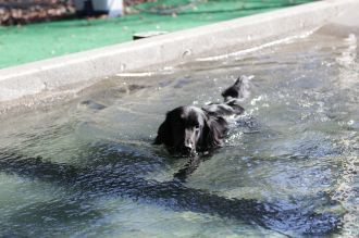 気持ちよさそっ♪ 気持ちよさそっ♪