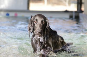 気持ちよさそっ♪ 気持ちよさそっ♪