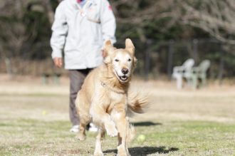 気持ちよさそっ♪ 気持ちよさそっ♪