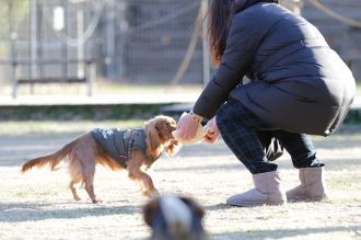 気持ちよさそっ♪ 気持ちよさそっ♪