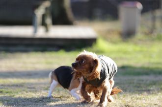 気持ちよさそっ♪ 気持ちよさそっ♪
