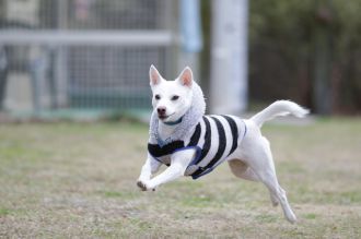 いつもの空気へ。 いつもの空気へ。