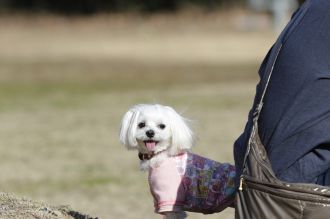 いつもの空気へ。 いつもの空気へ。