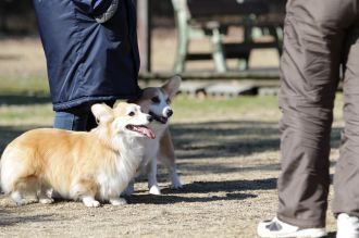 私はかべよ。 私はかべよ。