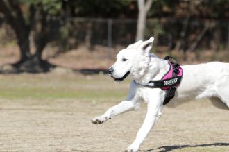 私はかべよ。 私はかべよ。