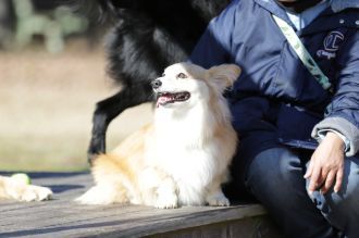 私はかべよ。 私はかべよ。