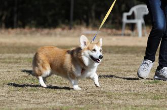 私はかべよ。 私はかべよ。