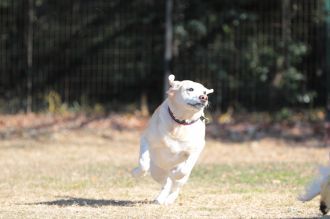 私はかべよ。 私はかべよ。