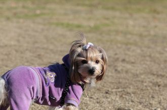 私はかべよ。 私はかべよ。