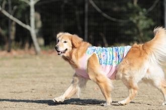 私はかべよ。 私はかべよ。