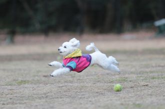 私はかべよ。 私はかべよ。
